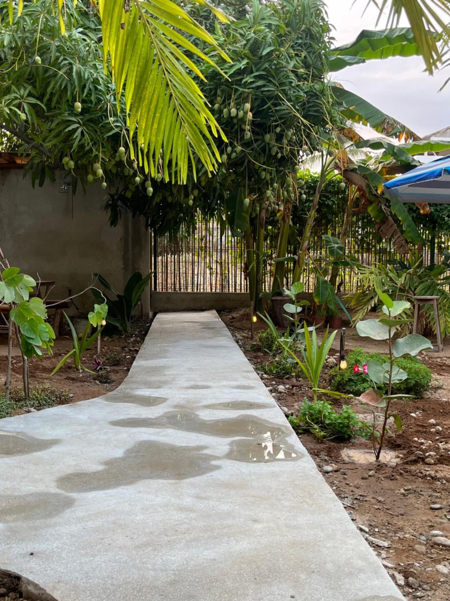 Agua De Coco Leilighet Puerto Escondido  Eksteriør bilde